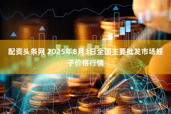 配资头条网 2025年8月3日全国主要批发市场蛏子价格行情